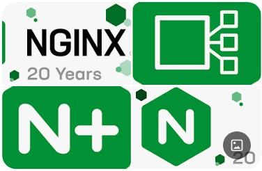 nginx + ssl 代理 code-server